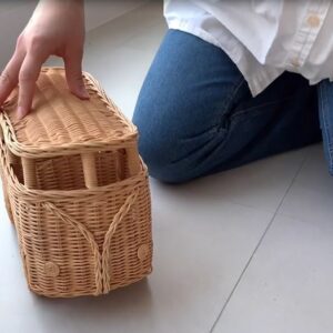 Rattan - Bemo Bus 3 12 Capture