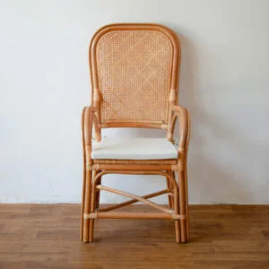 Rattan - Grandpa's chair