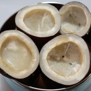 Coconut - Premium Coconut Copra