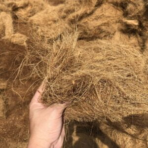 Coconut - Premium Coconut Fiber