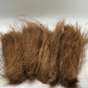 INDONESIAKING BRISTLE 2