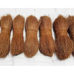 INDONESIAKING BRISTLE 3