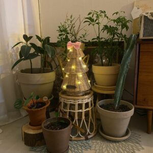 Rattan - Jingle Tree 2 unknown 261433247 3045967392325471 952653689826204866 n