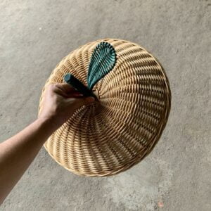 unknown 327107203 972770170551559 7629239806426188868 n