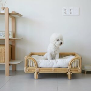 Rattan - Bubu Square Sofa