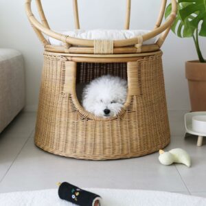 unknown 328303172 680182543787233 2189310887259857180 n