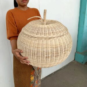 unknown 329111664 1311796266036830 7137543188951369156 n