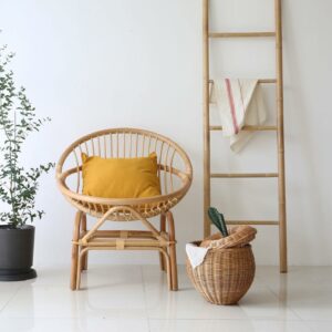 unknown 330997671 1157246554983351 6839970574496362912 n