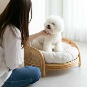 Rattan - Puff Pet Sofa 4 unknown 331608679 558769976004148 1827313608247309042 n