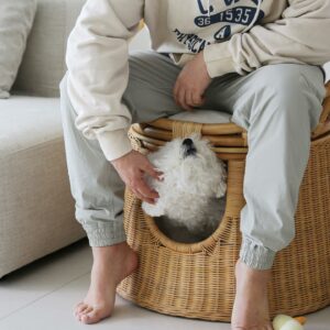 unknown 332972681 585769946774098 1039516389774460046 n