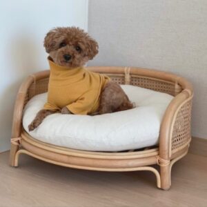 Rattan - Puff Pet Sofa 5 unknown 334045439 507211738058715 8169036195413304369 n