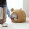Rattan – Mouse Pet House 16 unknown 334522655 506929631612688 6813297498733736630 n
