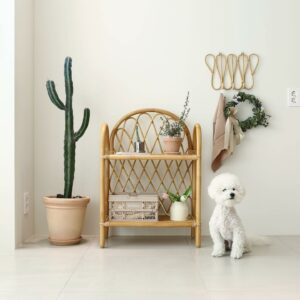 unknown 334698469 1235383043748806 6089020120025244866 n