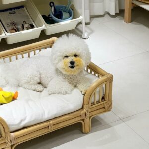 Rattan - Bubu Square Sofa 3 unknown 339712018 5990536787661542 2471893490078623905 n