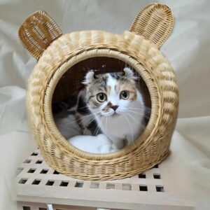 Rattan – Mouse Pet House 9 unknown 340794892 966281254362890 3946133776798750677 n