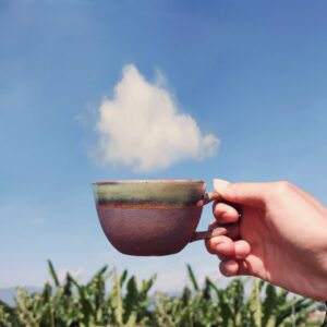 unknown 71209277 183648749423509 2072480553142701522 n